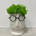 4u Plac Wolnosci 6 ポズナン