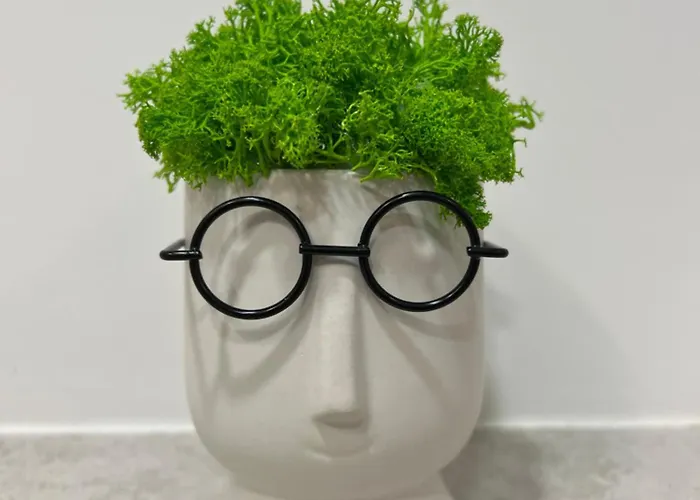 4u Plac Wolnosci 6 Poznań